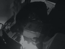 Thieves wreak havoc in Amanganj of Panna district