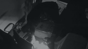 Thieves wreak havoc in Amanganj of Panna district