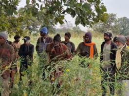 Leopard attacks in the buffer zone of Panna Tiger Reserve