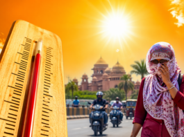 Heatwave Alert MP