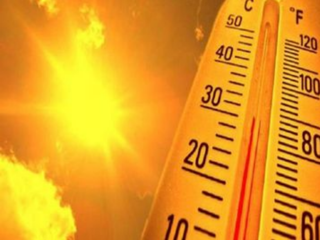 MP Heatwave Alert
