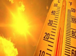 MP Heatwave Alert