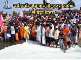 Narmada Pollution
