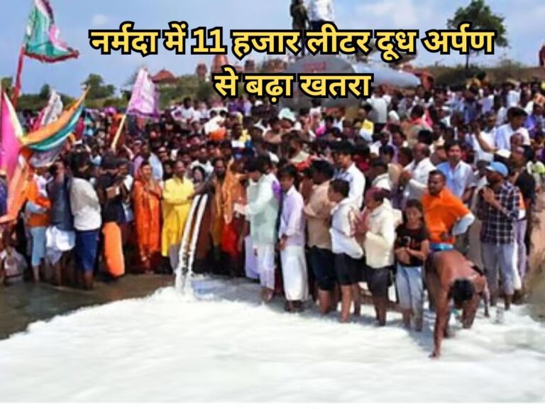Narmada Pollution